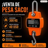 Pesa de gancho de 300kg - Img 57612842
