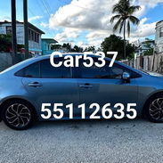 Car537 - Img 54917657