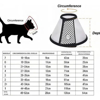Collar isabelino - 2/2