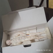 Oferta especial para emprendedores en masajes solo 300 pesos - Img 55820385