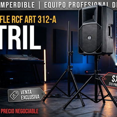 Bafle Profesional y Bajo Eléctrico - 2/2