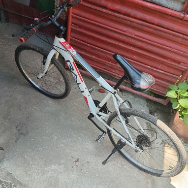 Bicicleta Raly 24 - Img 121016201