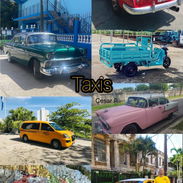 Alquiler de taxis - Img 54866738