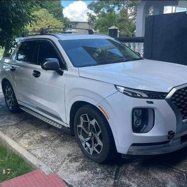 Hyunday Palisade caligraphe 2021 - 2/6
