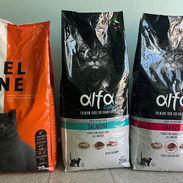 Bolsas de pienso para gatos!! - Img 55532553