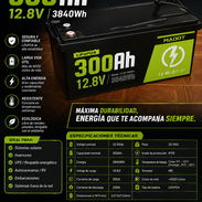 BATERÍA LiFePO4 MADOT 300Ah 12.8V – 3840Wh - Img 57172816