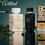 Perfumes originales: Stock disponible con entrega rápida en Claar Essenza - Img 58083495