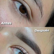 Extensiones de pestañas y arreglo de cejas - Img 55351820