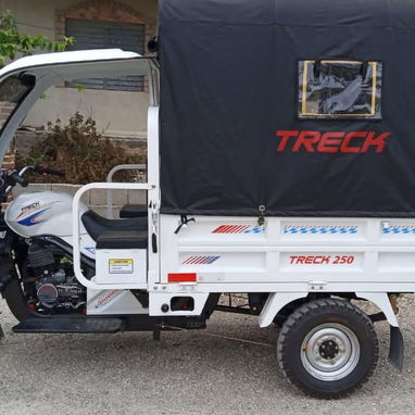 Triciclo 250cc - 2/4