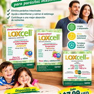 Medicamento Importado muy seguro para Parásitos, Giargia, Ameba y Oxiuro entre otros - Img 49963194