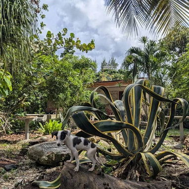 Se buscan trabajadores cualificados para varios puestos. Playa Bacuranao, Celimar - Img 126689290