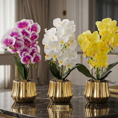 BELLAS FLORES - Img 120397344