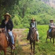 Viñales🐎Descubre el equilibrio perfecto entre Naturaleza y placer, en un paraíso terrenal🏕 - Img 51745021