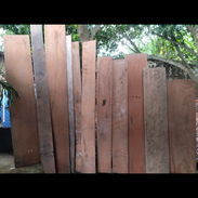 Venta de Madera de Cedro - Img 58088115