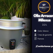 Olla arrocera milexus - Img 56026297
