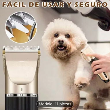 Set para mascota - Img 124685851