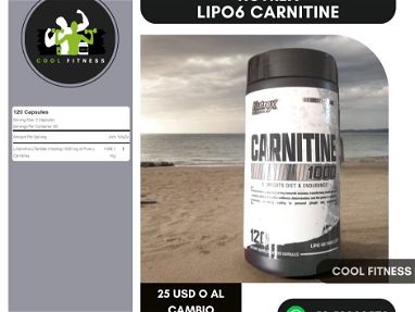 ☎️⚡⚡*Nutrex Lipo-6 Carnitine 120 caps* - Img main-image-41580515