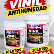 VARIEDSD DE PINTURAS - Img 58165399