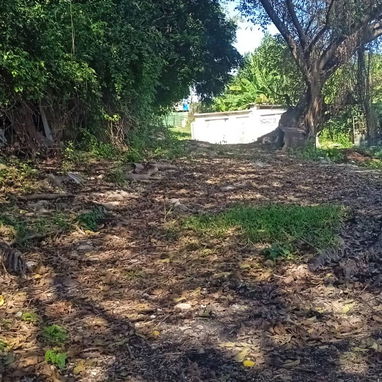 Alquiler de finca en Marianao - 6/10