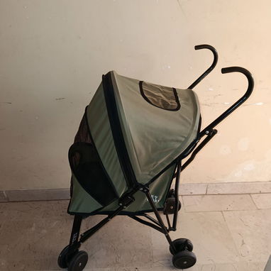 Coche para perros pequeños como los Chihuahuas - Img 116915205