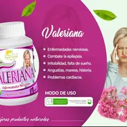 Valeriana(Combate la epilepsia/Enfermedades nerviosas) - Img 58319120