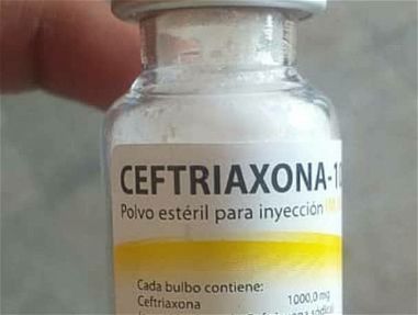 Ceftriaxona [Rocefin] (1000.0g) 750cup - Img main-image