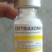 Ceftriaxona [Rocefin] (1000.0g) 750cup - Img 45562381