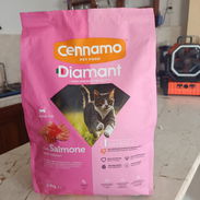 Pienso para gatos 2 kilos - Img 55507861