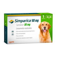 Simparica - Img 56006533