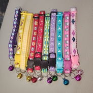 Venta de accesorios para mascotas - Img 56152300