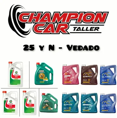 Neumáticos, Aceites, Alarmas, Luces, Audio - Img 94660920