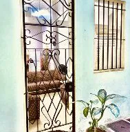 Apartamento para renta lineal cerca de la UH - Img 93612468