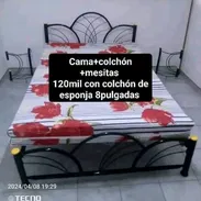 Cama cruzada con el colchón de esponjas - Img 55657300