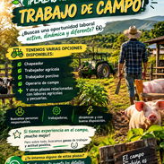 OFERTAS DE EMPLEO FINCA "VELÁZQUEZ" - Img 57970036
