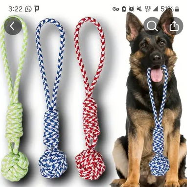 CAMAS COLLARES - 10/10