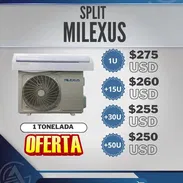 Split Milexus - Img 56210466