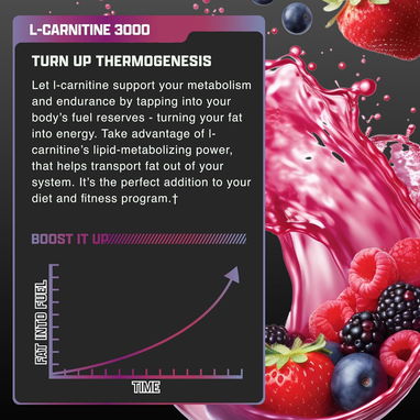 L CARNITINA LIQUIDA QUEMADOR DE GRASA - Img 123163307