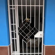Soluciones Metálicas Integrales para Hogar y Negocio - Montaje Metálico Profesional (kinetica) - Img 57191369