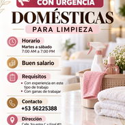 Se ofrece empleo de doméstica - Img 58167752