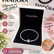 PANDORA RIGIDA - Img 58037747