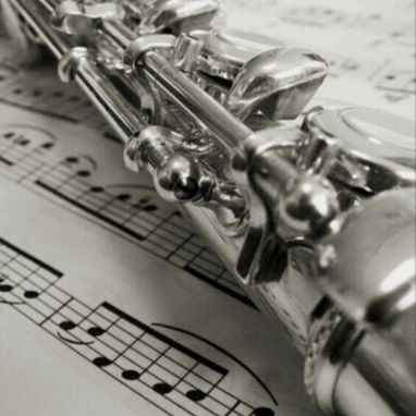 FLUTE-BANKRUPTCY SALE-NEW C STUDENT/INTERMEDIATE/PRO SILVER CONCERT BAND FLUTES - Img 121852228