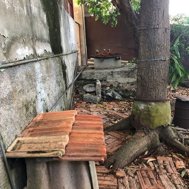 Venta de casa en la habana - Img 126170770