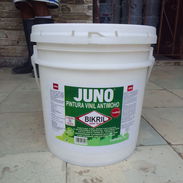 Vinil antimoho marca JUNO - Img 55651545