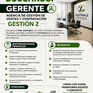 SE BUSCA GERENTE PARA AGENCIA DE CONTRATACIÓN Y VENTAS. GESTIÓN Z!!!! - Img 56648131