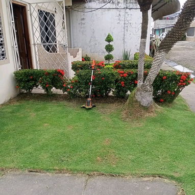 jardinería y mantenimiento - Img 120164093