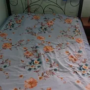 Vendo Cama camera de tubo con sus mesitas de noche - Img 58367118
