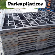 Parle - Img 57429319