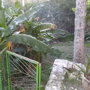 Bi planta de 3 cuartos arriba y gas de la calle - 2/10