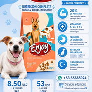 Pienso para perros - Img 56501597