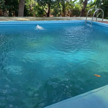 🍀"¡Parcela en venta en La Habana!  Tú oportunidad de inversión o vivienda" - Img 123632009